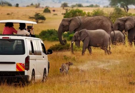 Kenya: 7-Day Big 5 Safari