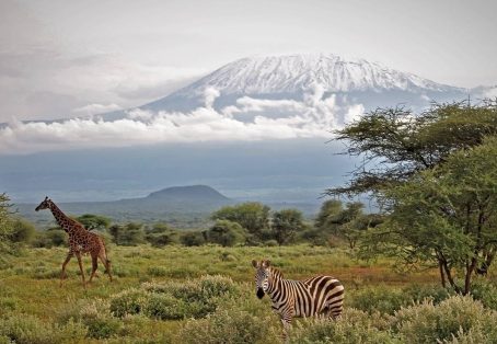 Kenya: 7-Day Big 5 Safari