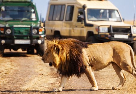 Affordable 5-Day Amboseli & Masai Mara Kenya Budget Joining Tour for groups