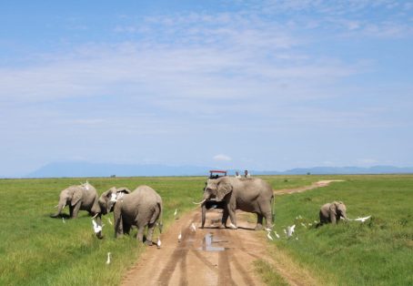 Affordable 5-Day Amboseli & Masai Mara Kenya Budget Joining Tour for groups