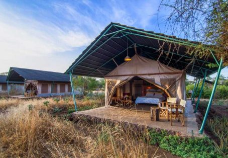 Affordable 5-Day Amboseli & Masai Mara Kenya Budget Joining Tour for groups